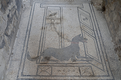 Dog Mosaic in the House of Paquius Proculus